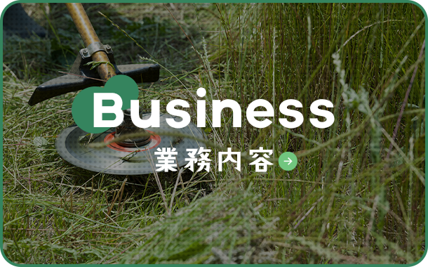 bnrhalf_business_off